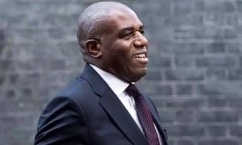 David Lammy Evades Questions on Cabinet Rift Over Trump's Iran Strikes