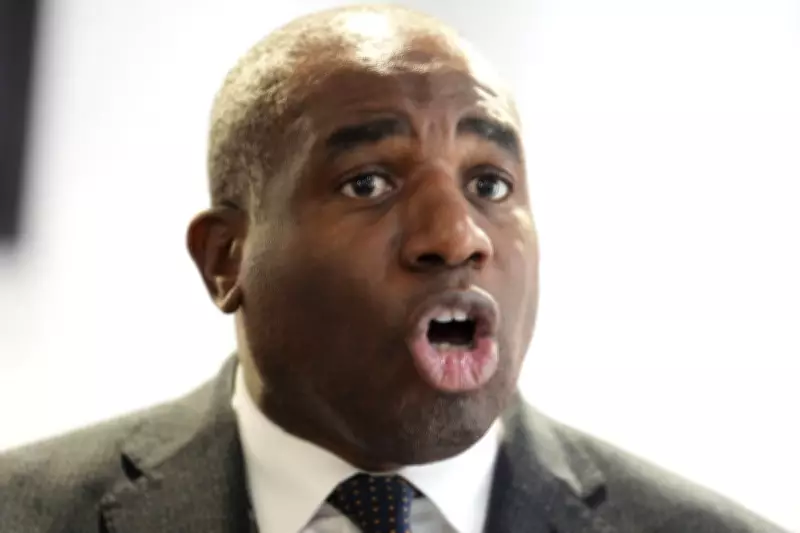 David Lammy's Court Reforms Pass First Commons Hurdle Despite Labour Backlash