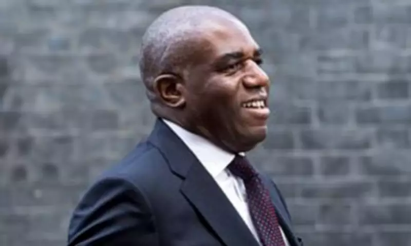 David Lammy's NATO Blunder Sparks Criticism Amid Series of Political Gaffes
