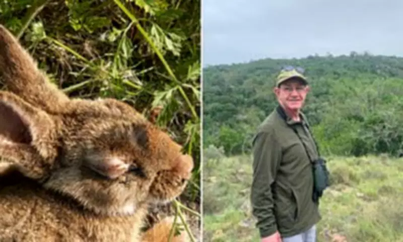 Deadly Rabbit Virus Threatens to Wipe Out 90% of UK Wild Population