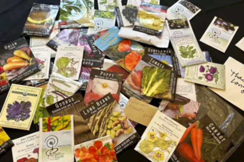 Decoding Seed Packet Jargon: A Guide to Confident Indoor Planting