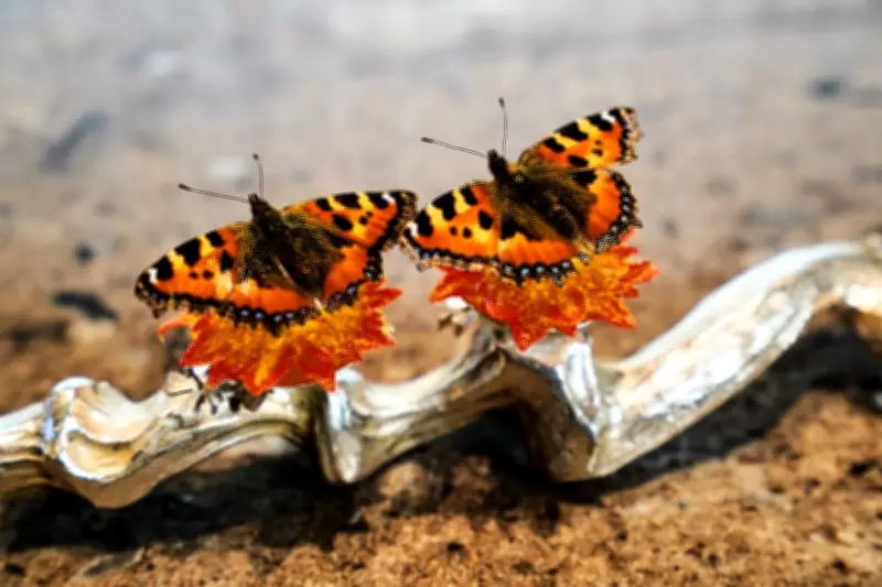 Denmark Debates Elevating Gastronomy to Art Form Status