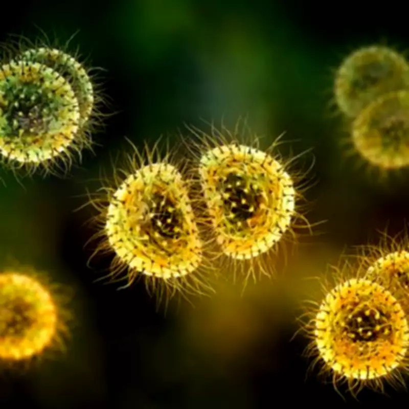 Doctor Warns of Early Meningitis Signs Beyond the Rash as Kent Outbreak Grows