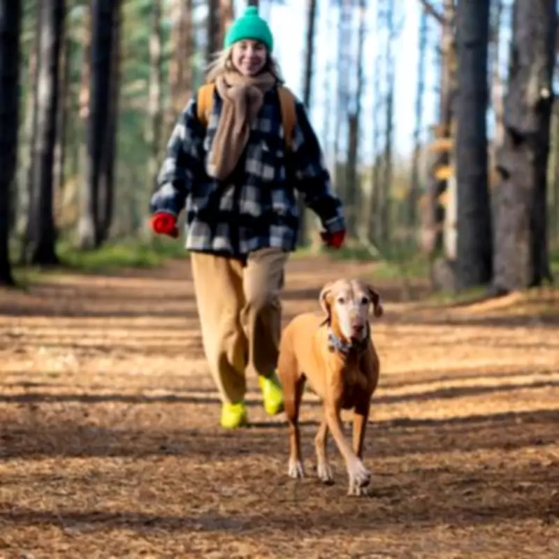 Dog Trainer Reveals Simple Trick to Guarantee Your Pet's Recall Response