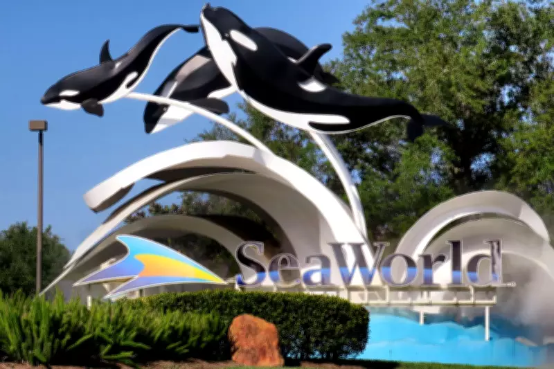 DOJ Sues SeaWorld Parent Over Wheeled Walker Ban, Citing Disability Rights