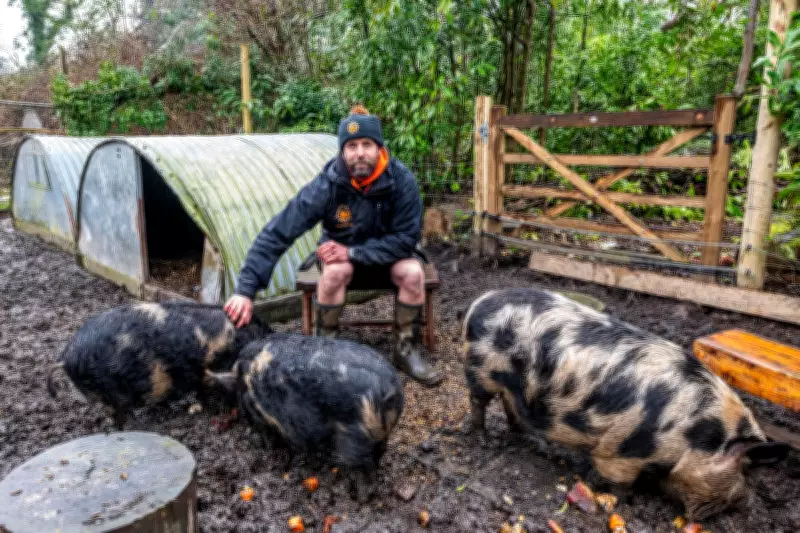 Dorset Outdoor Centre Forced to Rehome Therapy Pigs in Council Planning Row