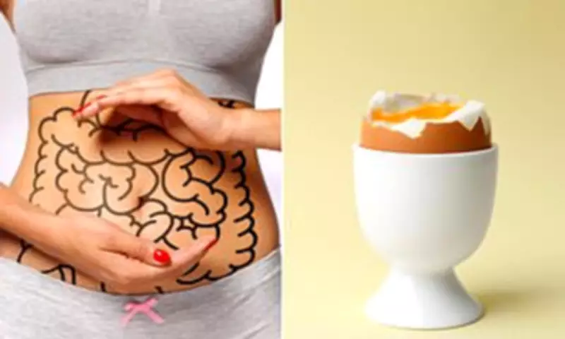 Dr Amy Shah's Balanced Approach to Women's Hormone Health and Menopause