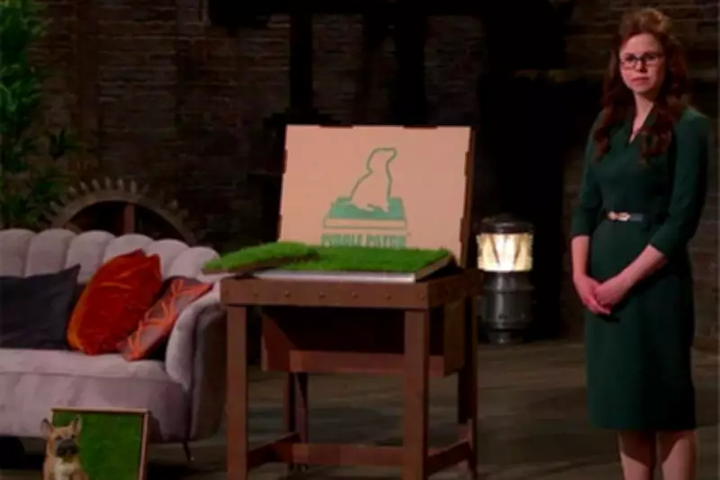 Dragons' Den Entrepreneur Wins High Court Battle Over 'Piddle Patch' Trademark