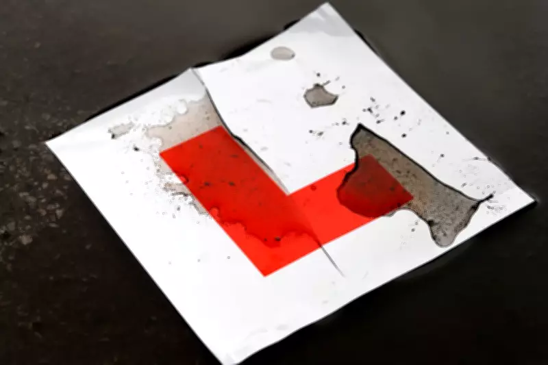 Driving Lessons Deemed Unaffordable by 70% of Licence-Free Adults