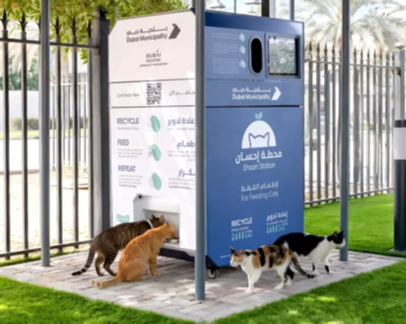 Dubai Deploys AI Feeding Stations as Pet Abandonment Crisis Deepens