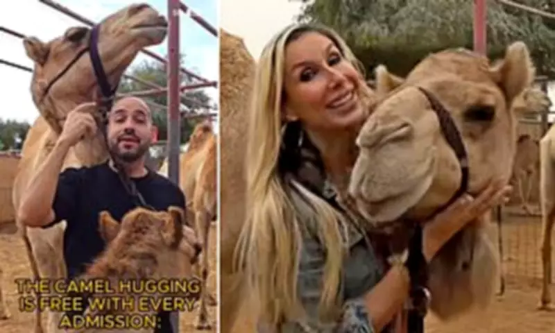 Dubai's 'Ghost Town' Attractions Offer Free Admissions Amid Iran Attacks