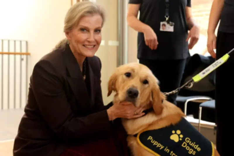 Duchess of Edinburgh Marks 40 Years of Guide Dogs in Northern Ireland