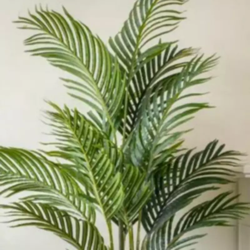 Dunelm's 'Incredibly Realistic' Artificial Palm Plant Hits Sale for Neglectful Gardeners