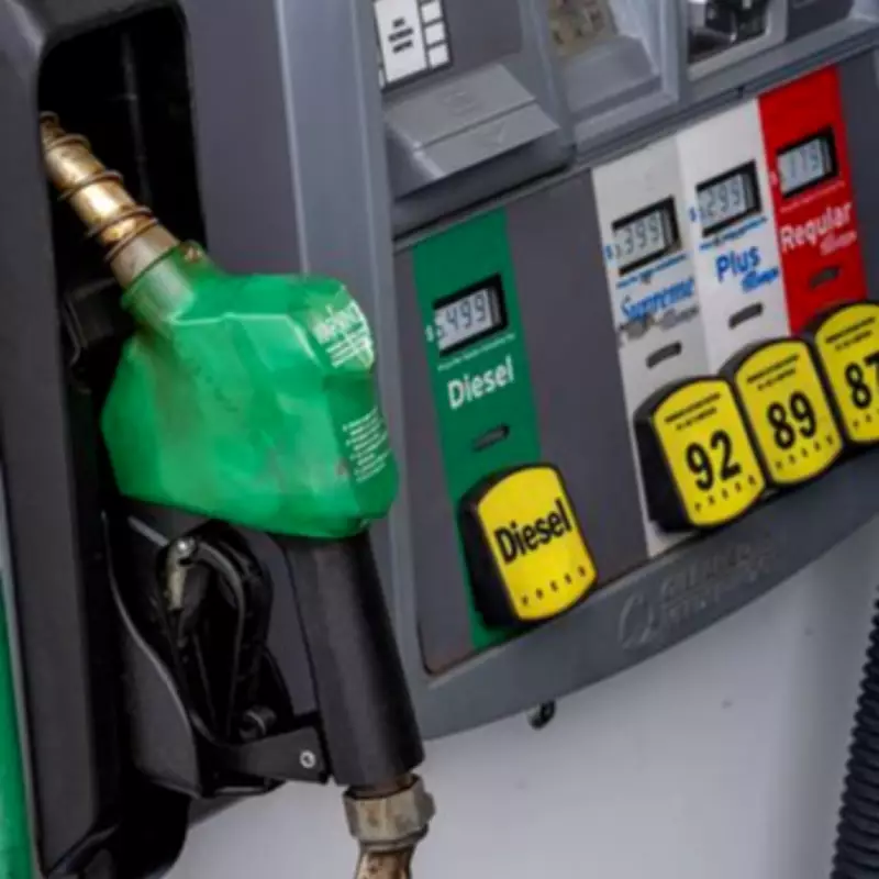 Ed Miliband Urges Drivers to Use Fuel Finder App Amid Price Surge