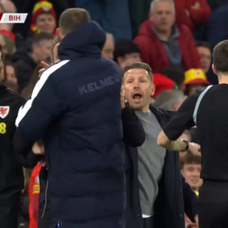 Edin Dzeko and Craig Bellamy Clash in Heated Wales vs Bosnia World Cup Play-Off