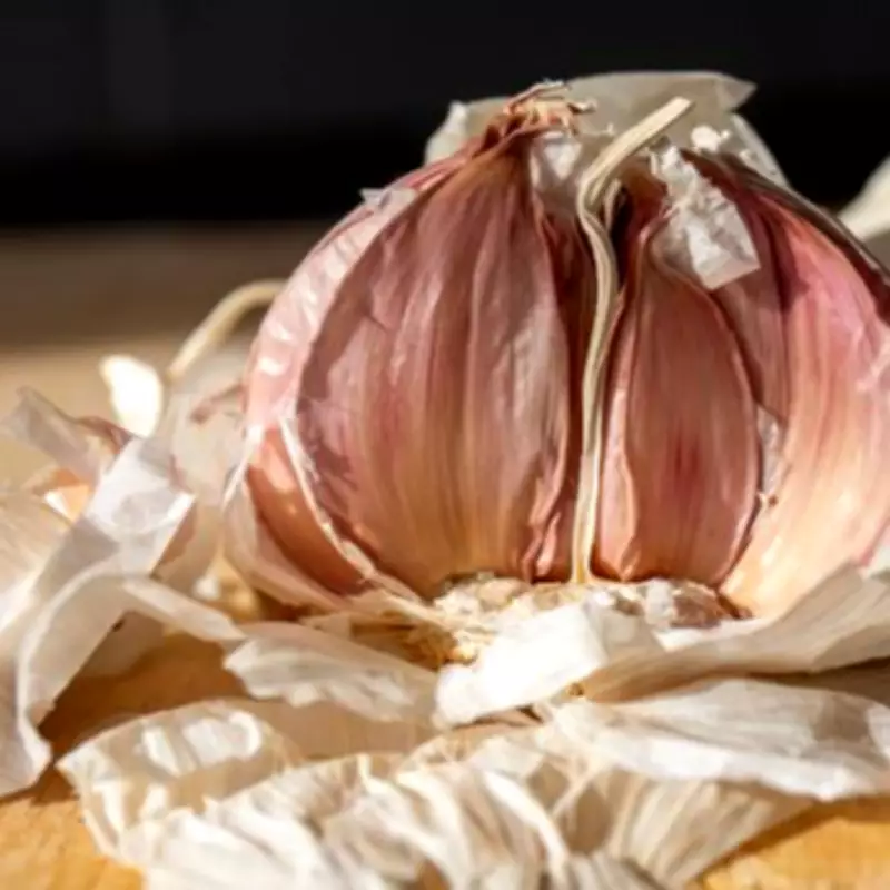 Egg Carton Storage: The Gardener's Secret to Keeping Garlic Fresh for Months