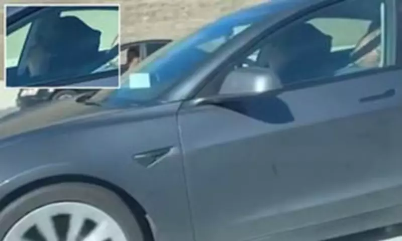 Elderly Couple Caught Sleeping in Tesla on California Freeway