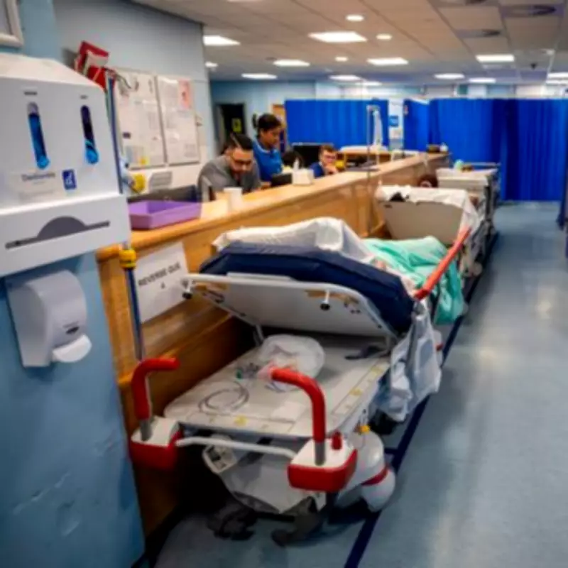 Elderly Woman Dies Alone in Overcrowded Welsh A&E Corridor, Witness Claims