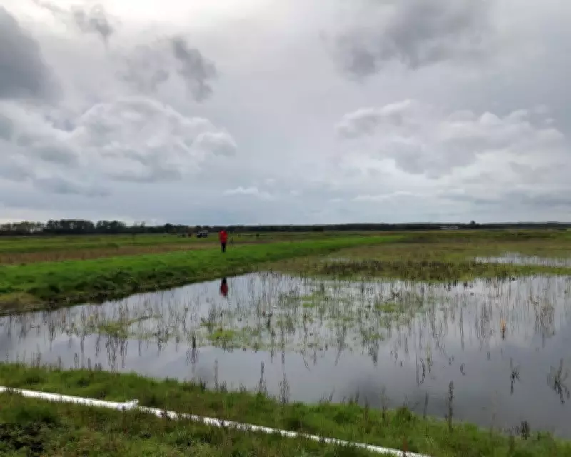 England to Allocate 7% of Land for Nature and Renewables to Meet Green Targets