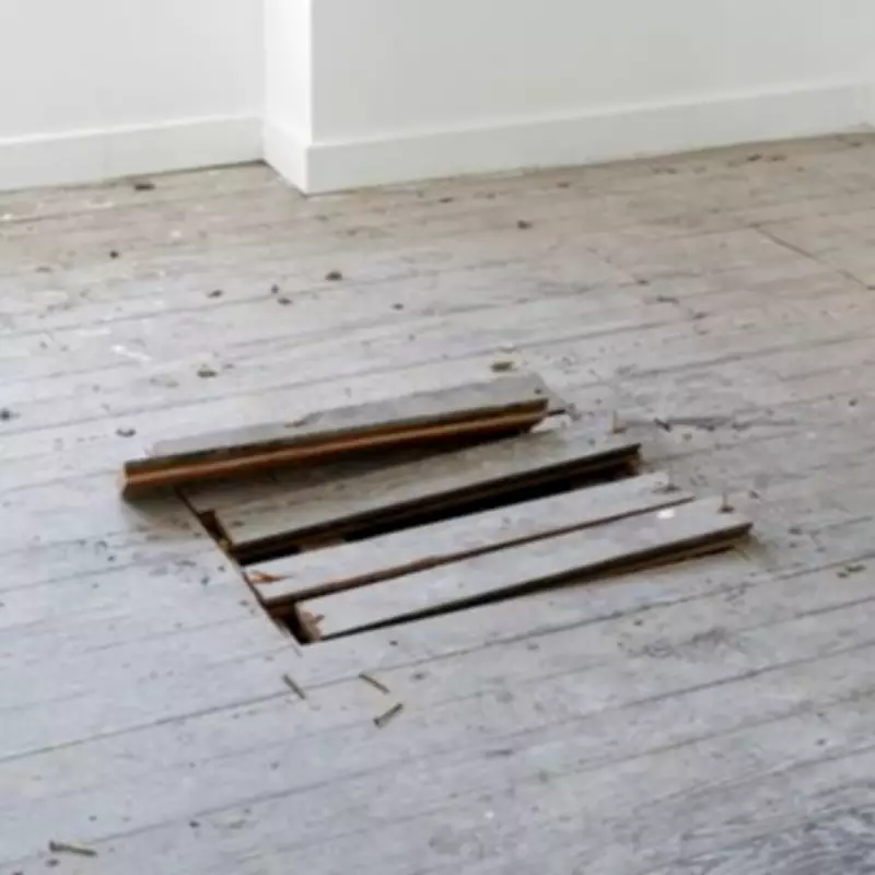 Essex Homeowner's Floorboard Renovation Reveals Trapped Fox