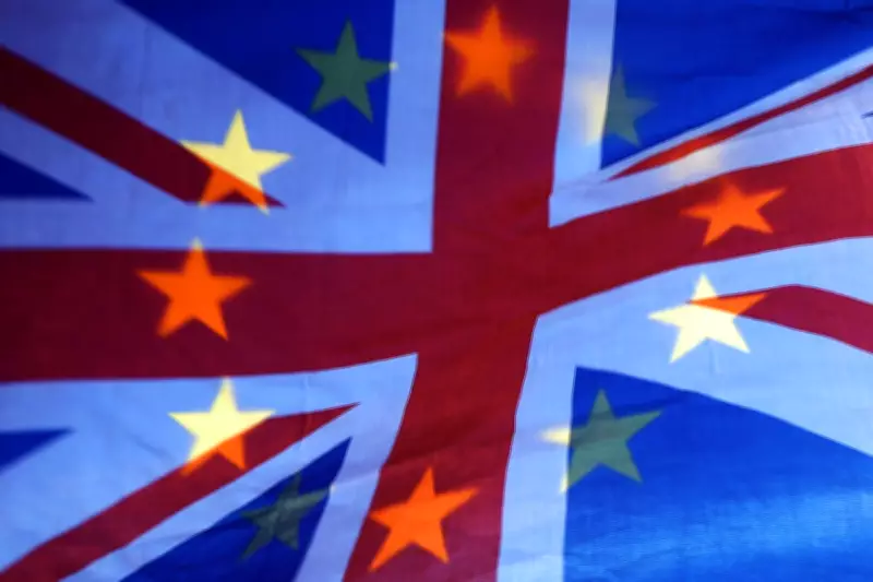 EU Proposes Monitoring System to Resolve Youth Exchange Scheme Impasse with UK