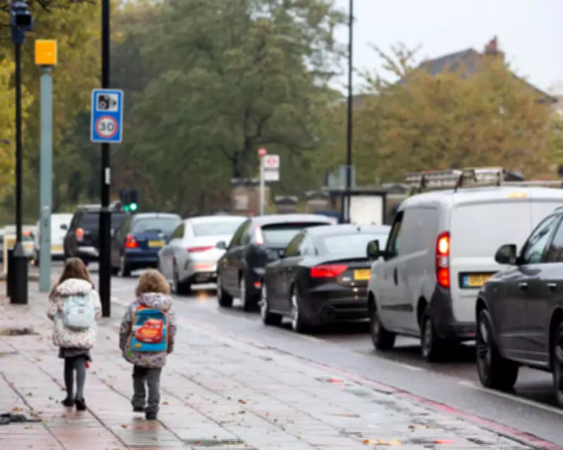 European Cancer Code Urges Action on School Air Pollution and Energy Reform