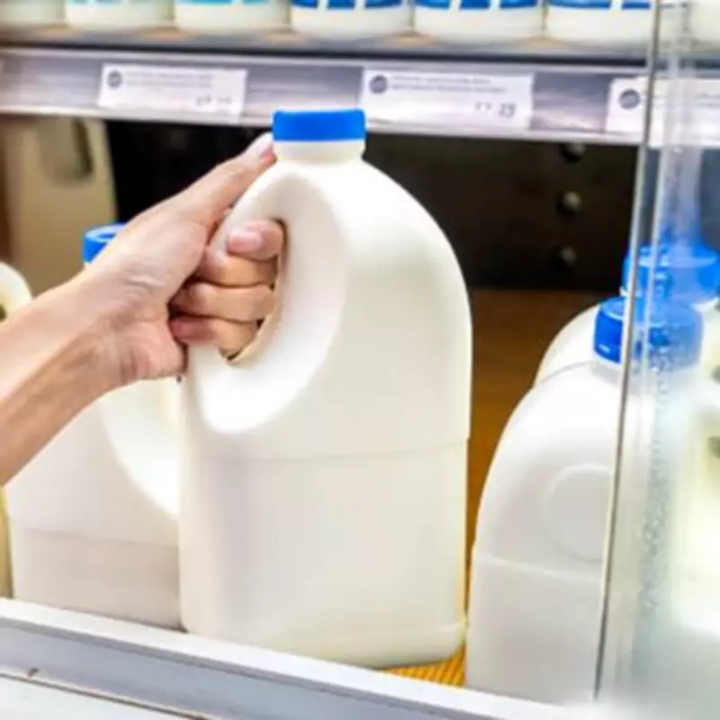 Ever Fresh Dairy Collapses into Liquidation Amid UK Dairy Industry Turmoil