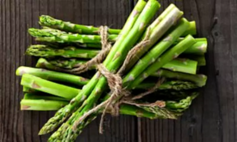 Expert Gardening Tips for March: Prepare Your Garden for Spring and Summer