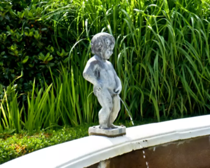 Expert Urination Advice: Seven Key Tips for Optimal Bladder Health