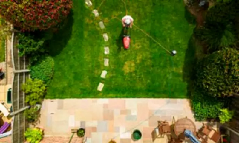 Expert's March Gardening Guide: Essential Tasks for a Flourishing Spring Garden