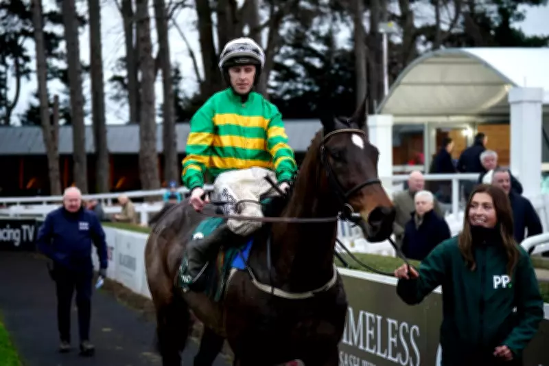Fact To File Withdrawal Looms at Cheltenham as Owner McManus Cites Ground Concerns