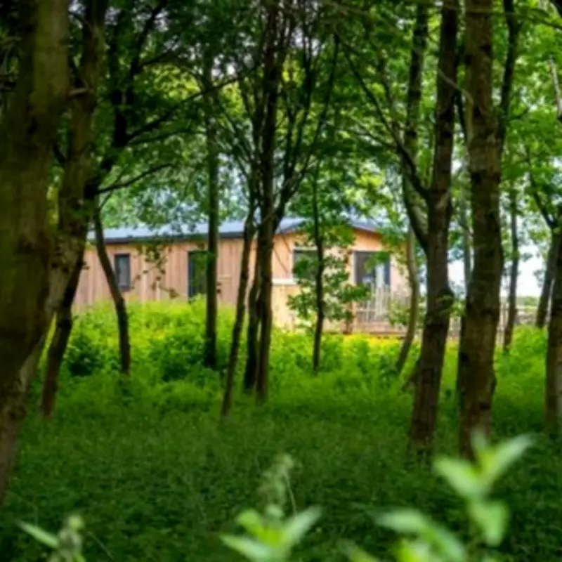 Family-Run Farm Holiday Park Named UK's Best, Offering Glamping and Stargazing