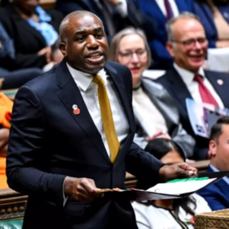Female Labour MPs Urge Lammy to Stay Firm on Court Reforms