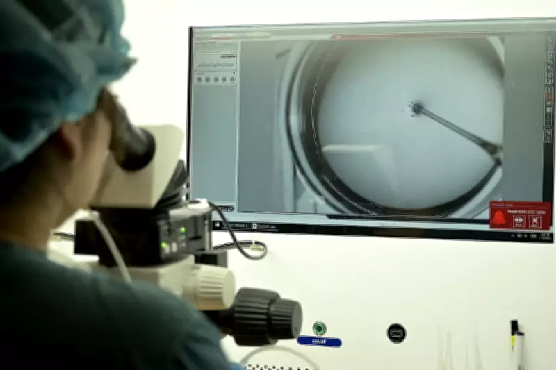 Fertility Expert Reveals Key Facts About Egg Freezing as Rita Ora Shares Her Experience