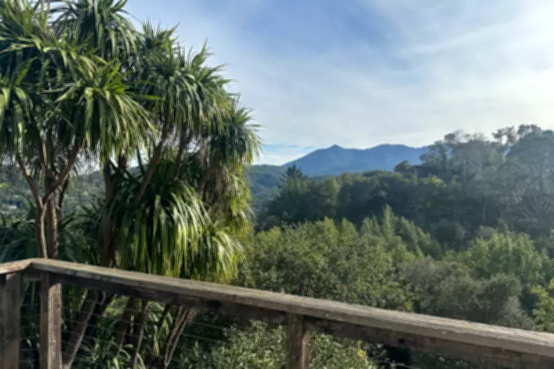 First-Time Homebuyers Use Creative Financing to Win in Competitive California Market