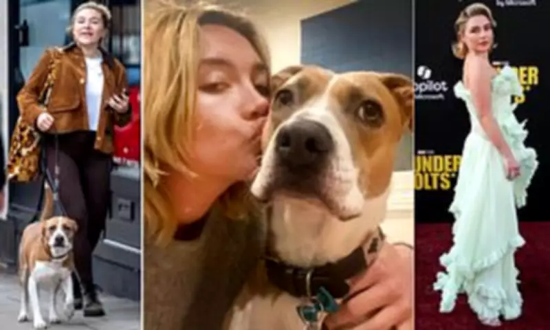 Florence Pugh Spotted in Coordinated Outfit with Dog Billie After Gym Session