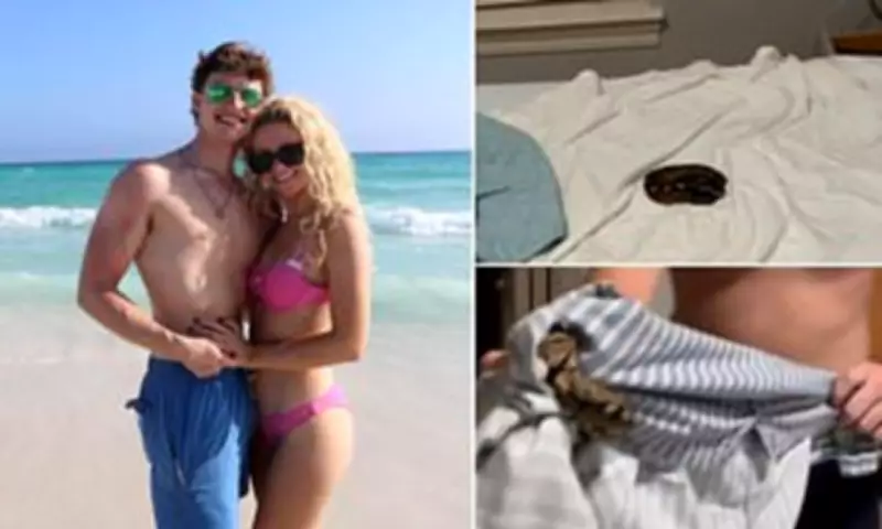 Florida Airbnb Horror: Python Found Lurking in Bed During Spring Break