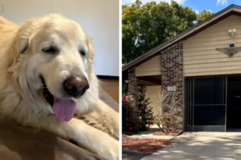 Florida Retiree Faces Homelessness Over Undisclosed Reverse Mortgage