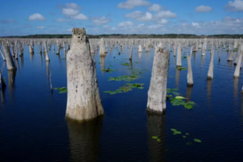 Florida's Abandoned Canal Dam Sparks Renewed Environmental Restoration Battle