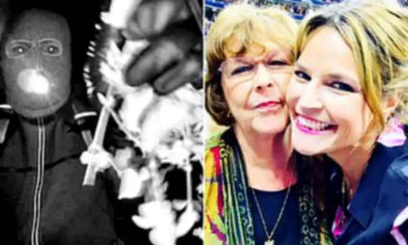 Former Detective Claims Nancy Guthrie's Abductor Had Up to Four Accomplices