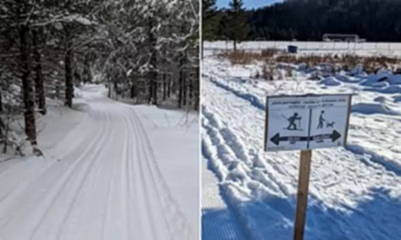 Four-Year-Old Girl Dies After Sledding Accident in Ontario Park