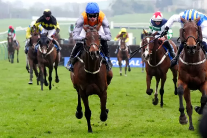 Friday's Racing Tips: Expert Picks for Ayr and Exeter Meetings