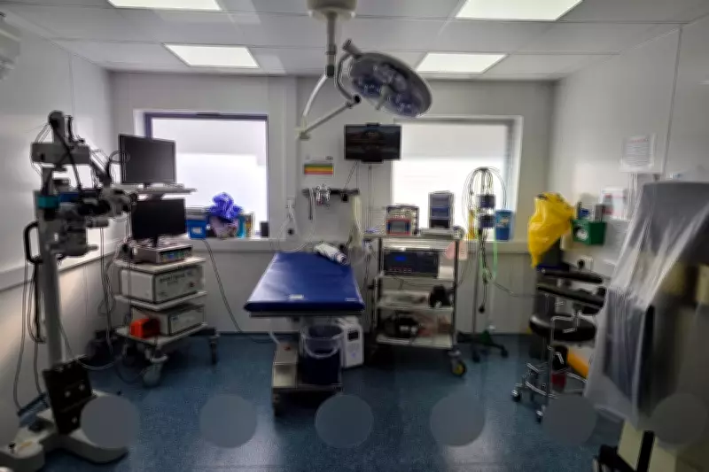 Frieda Hughes' Search for Owl Eye Surgery Expert Ends in Successful Operation