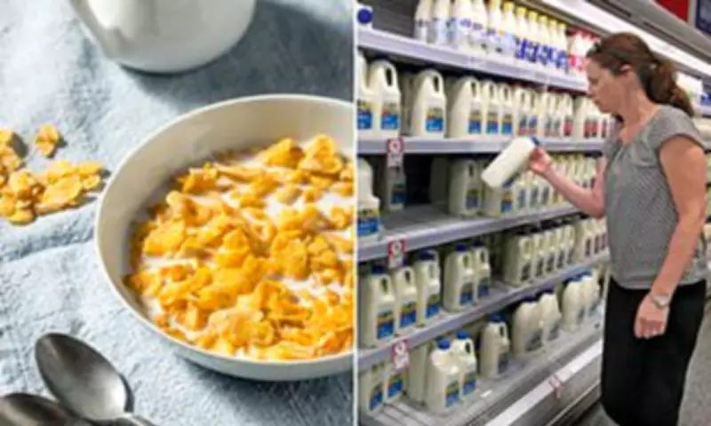 Full-Fat Milk Makes Dramatic Comeback as Brits Ditch Low-Fat Alternatives