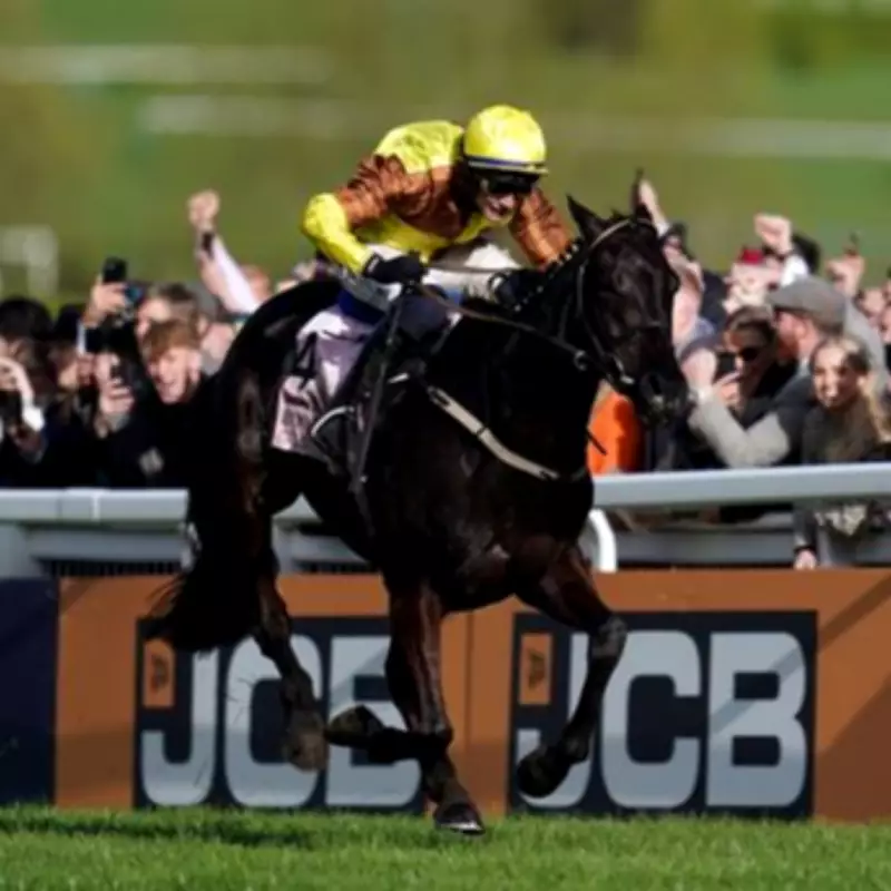 Galopin Des Champs Ruled Out of Cheltenham Festival Due to Injury Setback