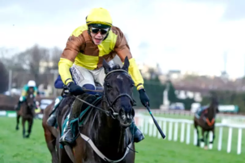 Galopin Des Champs Withdrawn from Cheltenham Gold Cup, Season Over