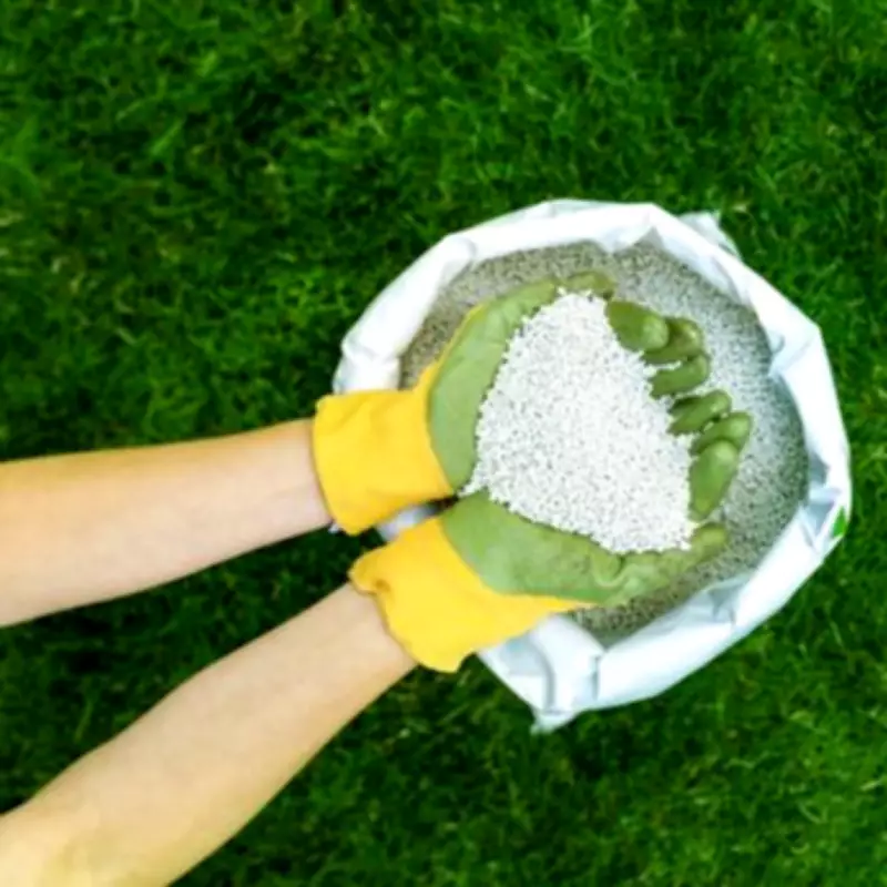 Garden Experts Reveal Natural Secret for Greener, Healthier Lawns This Spring