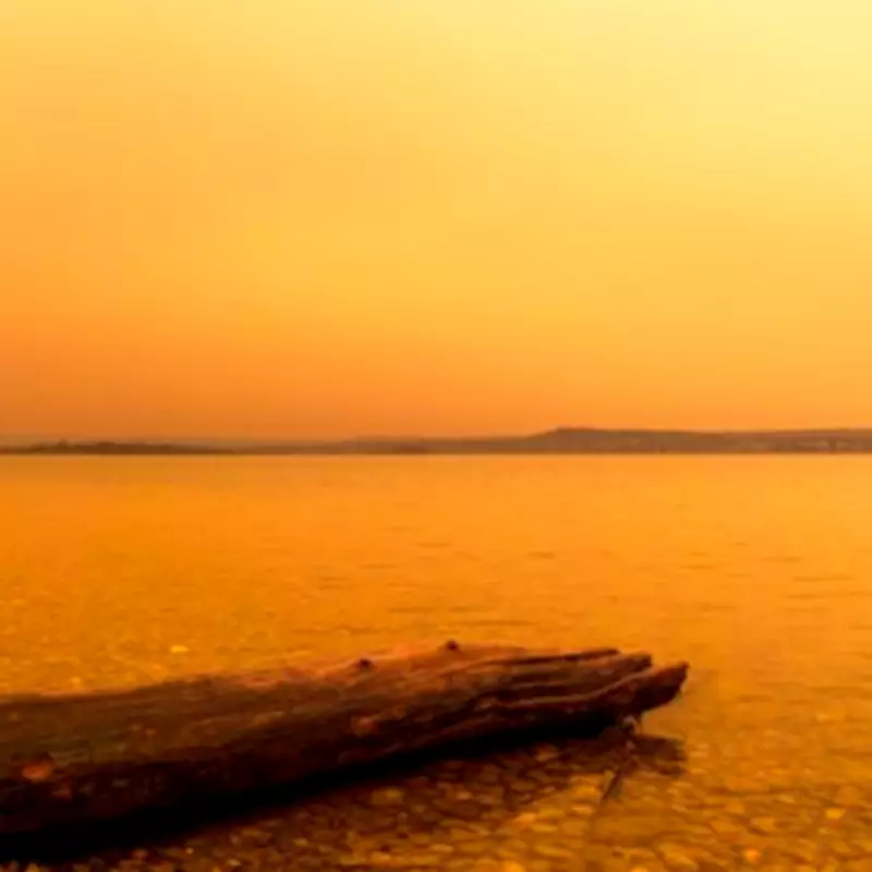 Garden Furniture Alert: Protect Against 'Blood Rain' Damage This Weekend