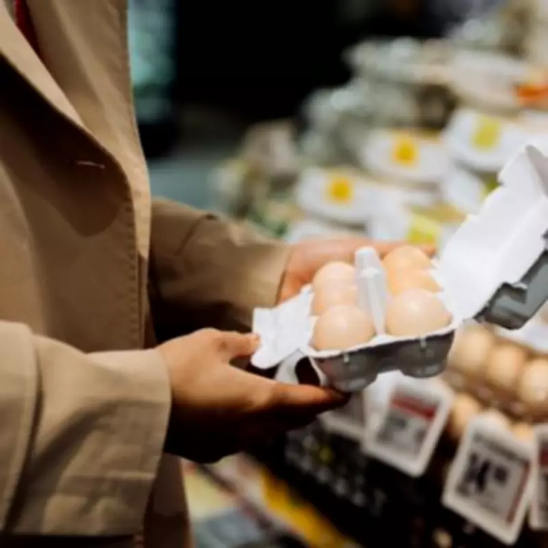 Gardener's Ingenious Hack: Transform Egg Boxes and Plastic Bottles into Garden Tools