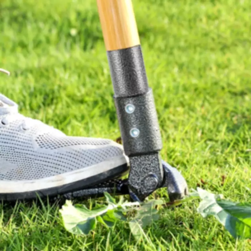 Gardeners Praise £25 Weed Puller as 'Life-Saver' for Stubborn Dandelions